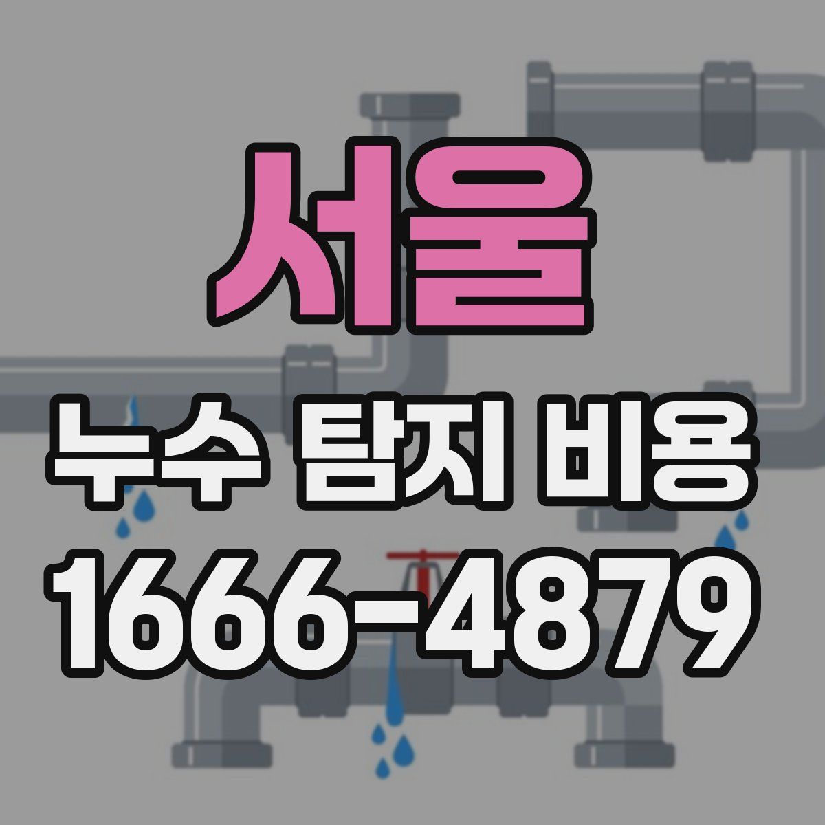 서울 누수 탐지 비용