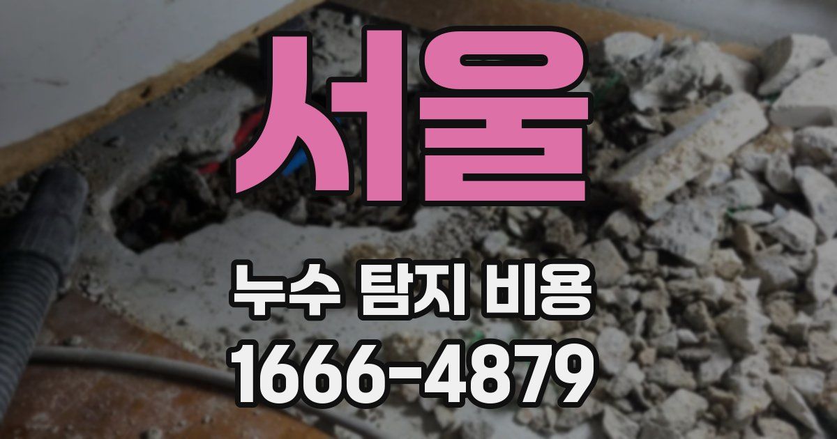 서울 누수 탐지 비용