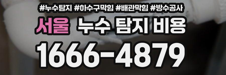 서울 누수 탐지 비용