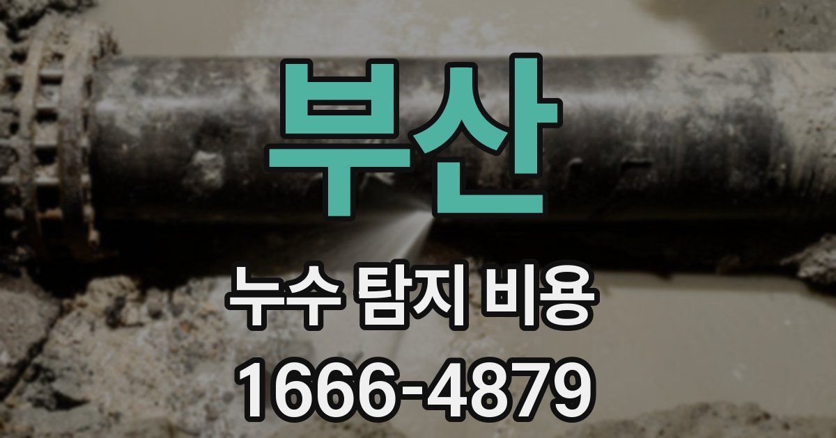 부산 누수 탐지 비용