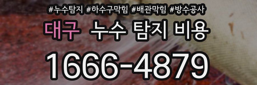 대구 누수 탐지 비용