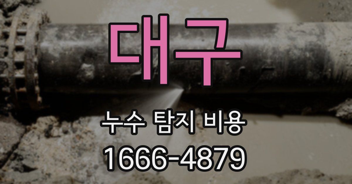 대구 누수 탐지 비용
