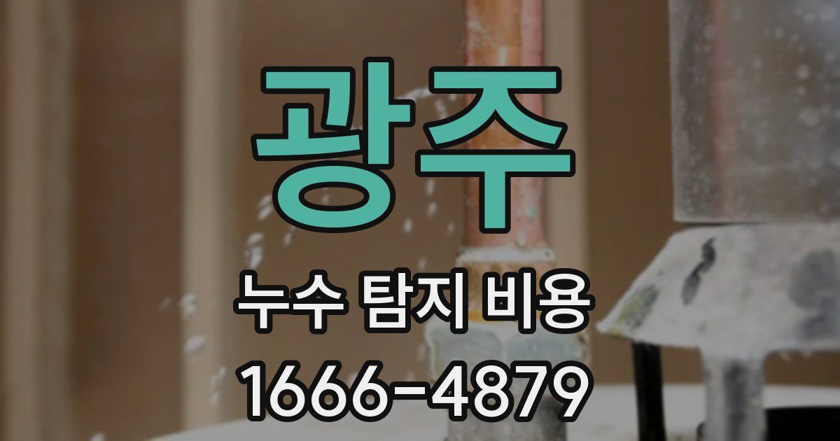 광주 누수 탐지 비용