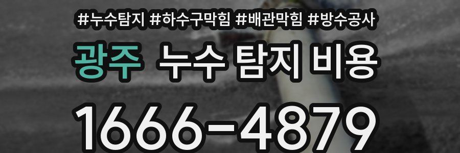 광주 누수 탐지 비용