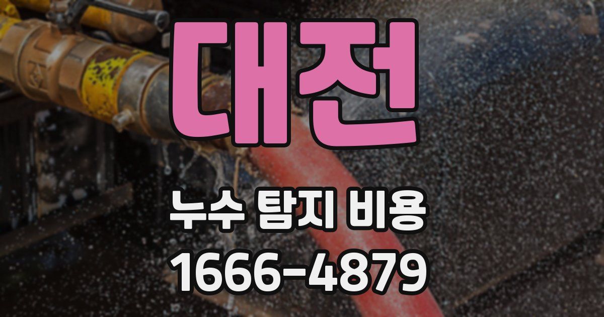 대전 누수 탐지 비용