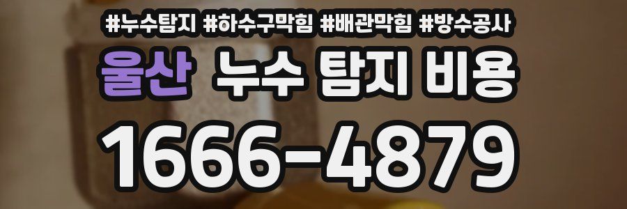 울산 누수 탐지 비용