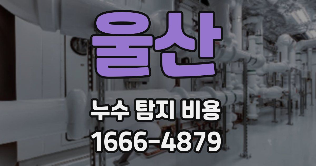 울산 누수 탐지 비용