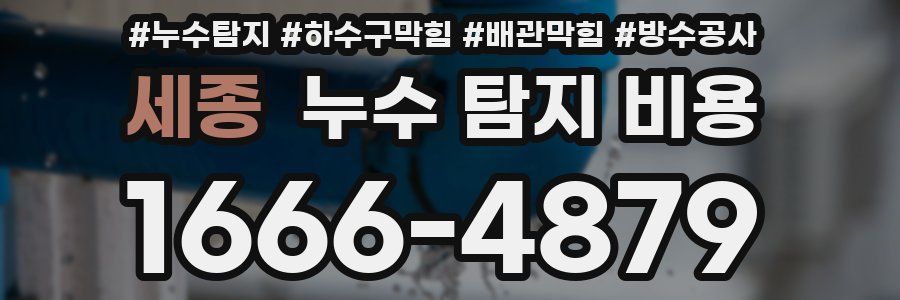 세종 누수 탐지 비용