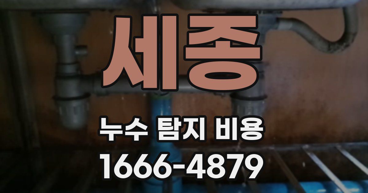 세종 누수 탐지 비용