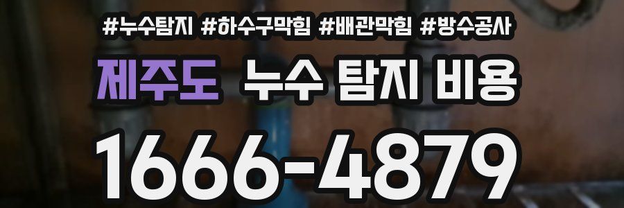 제주도 누수 탐지 비용