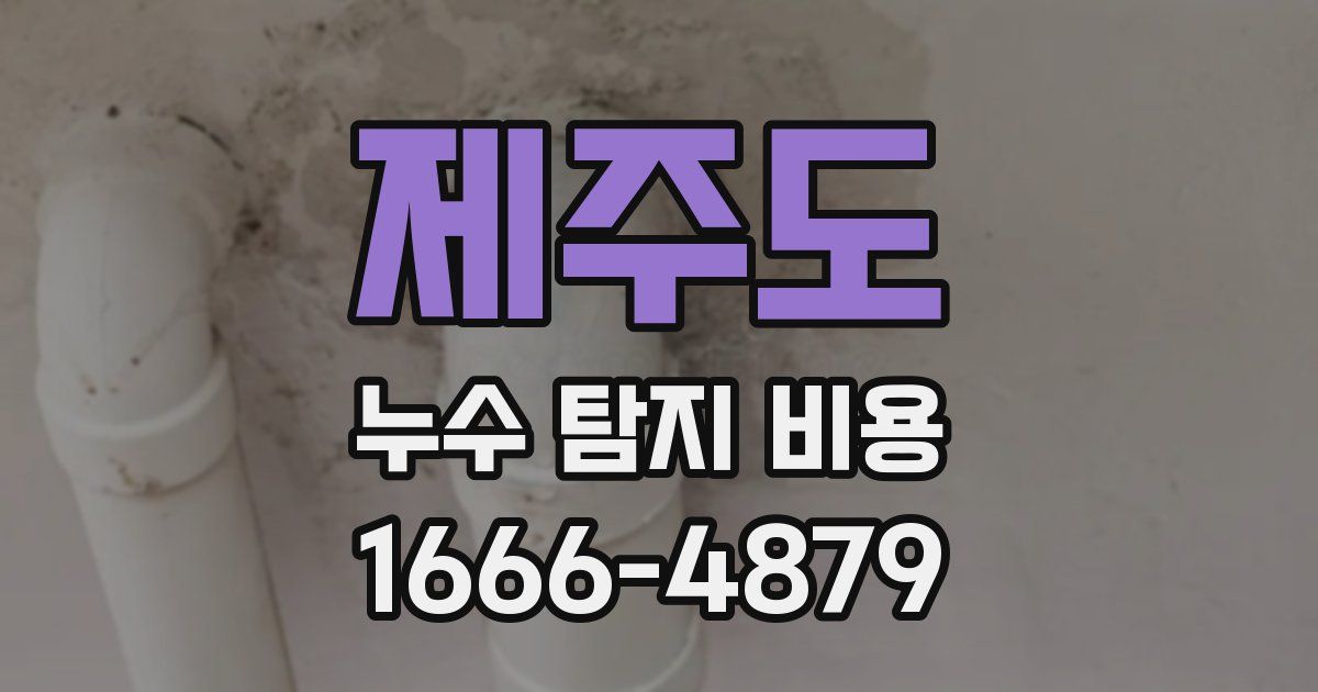 제주도 누수 탐지 비용