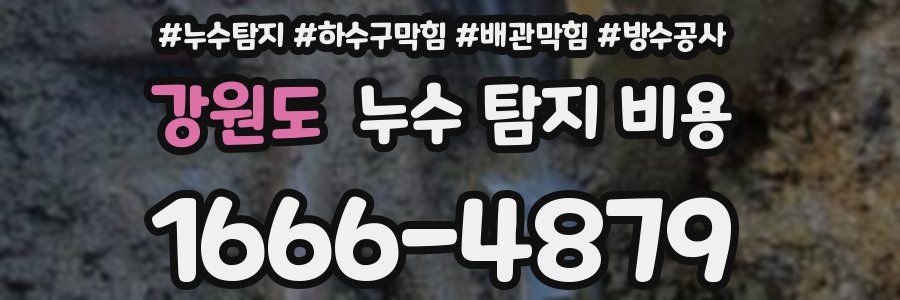 강원도 누수 탐지 비용