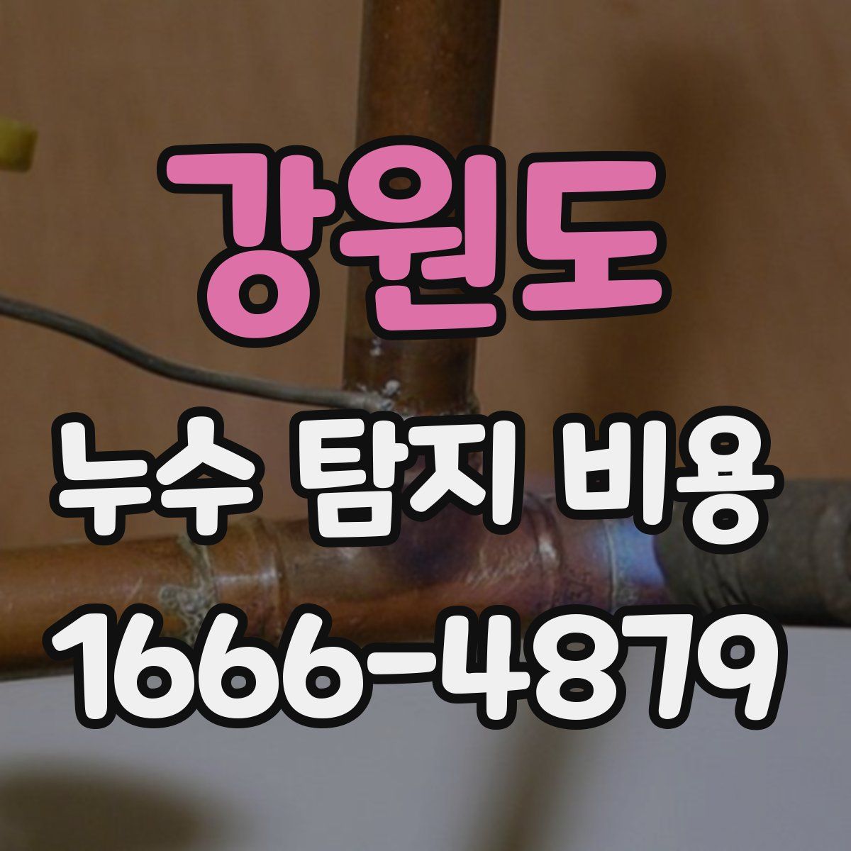 강원도 누수 탐지 비용