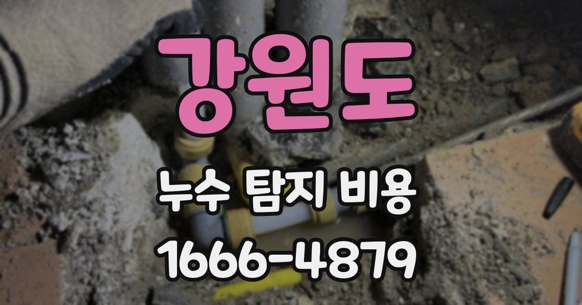 강원도 누수 탐지 비용