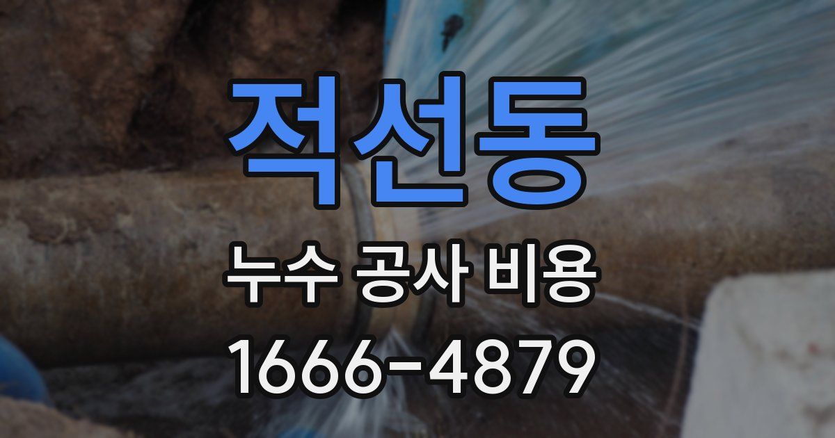 적선동 누수 공사 비용