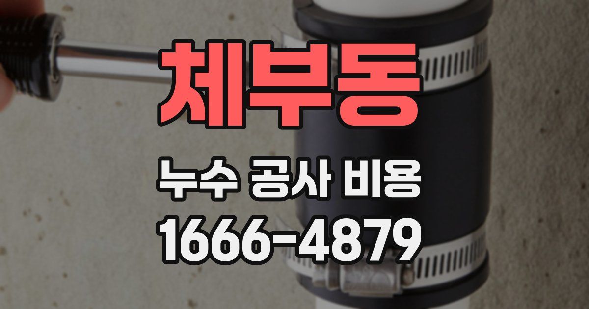체부동 누수 공사 비용