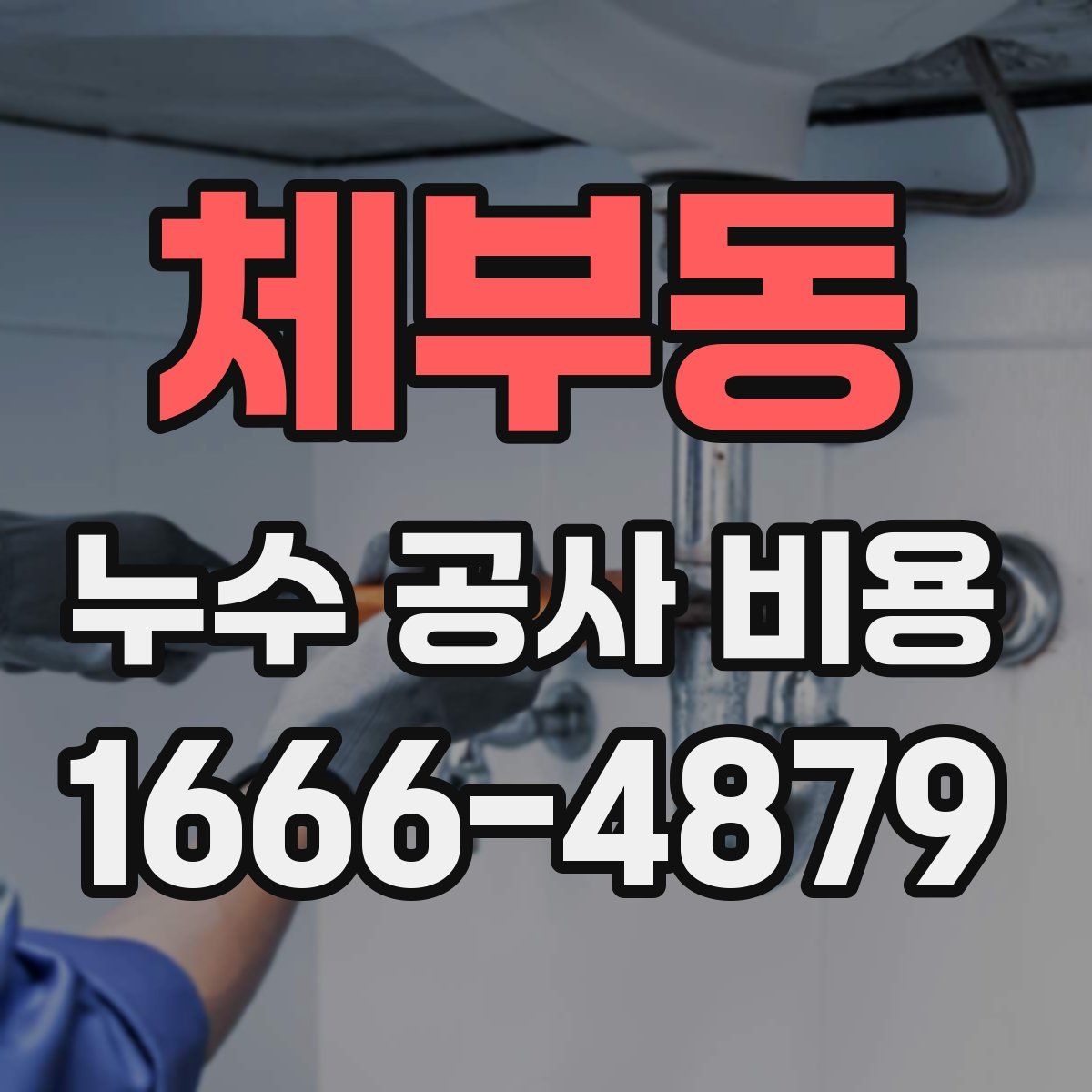 체부동 누수 공사 비용