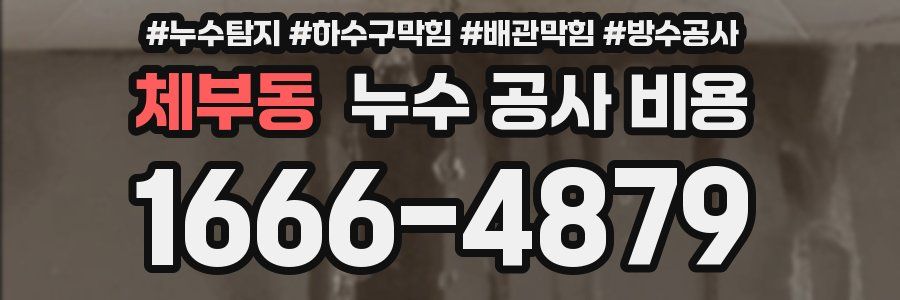체부동 누수 공사 비용