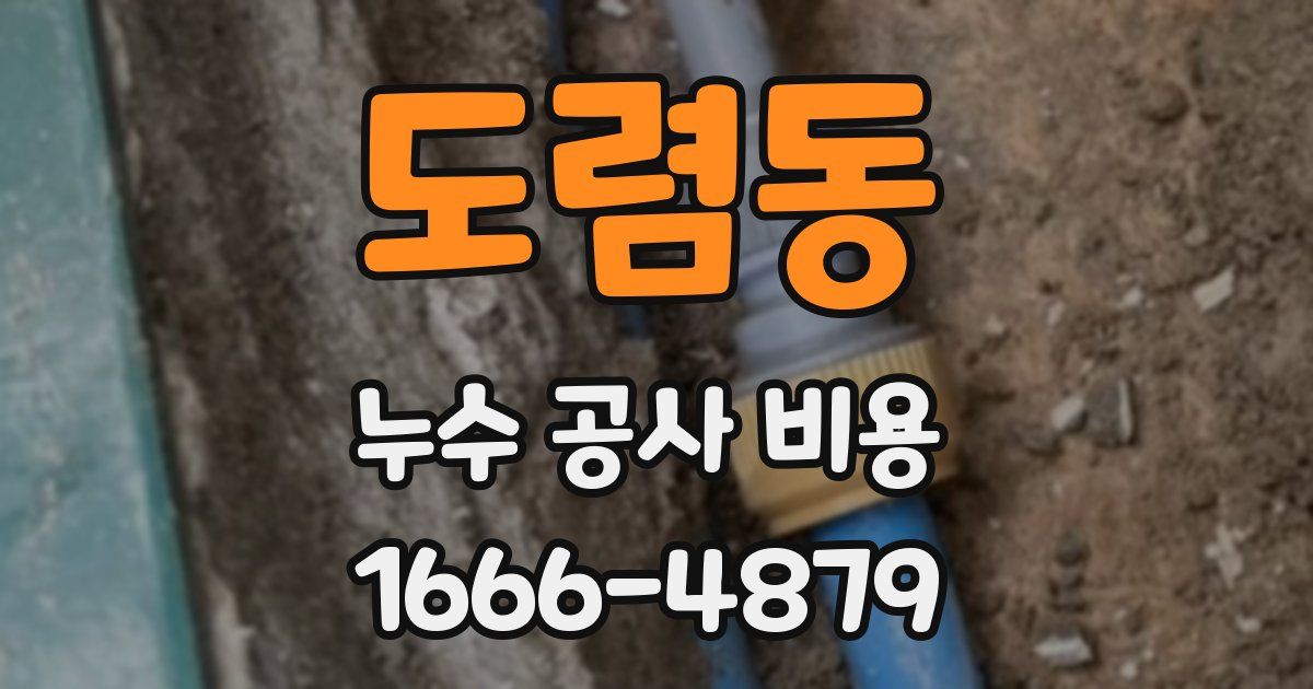 도렴동 누수 공사 비용