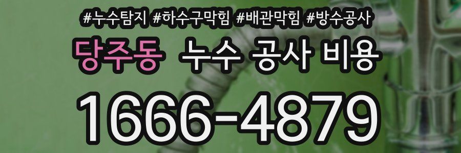당주동 누수 공사 비용