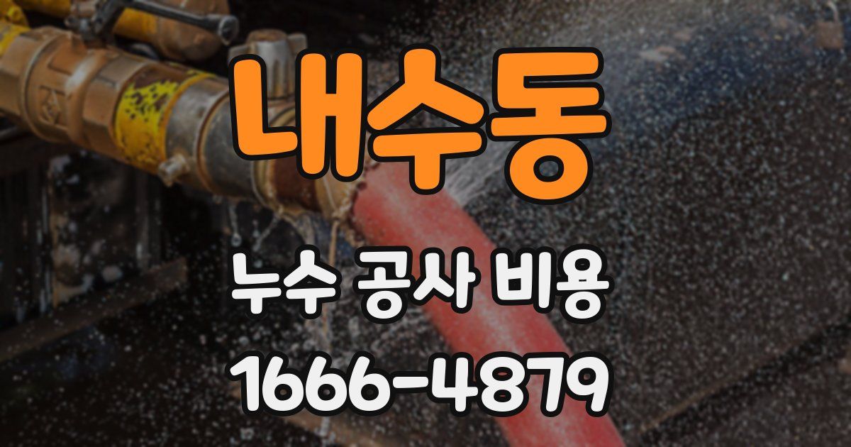 내수동 누수 공사 비용