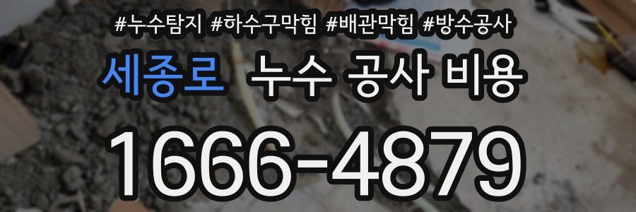 세종로 누수 공사 비용