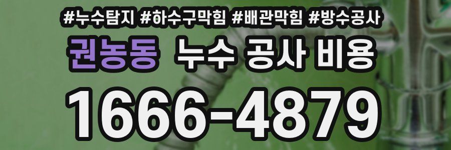 권농동 누수 공사 비용
