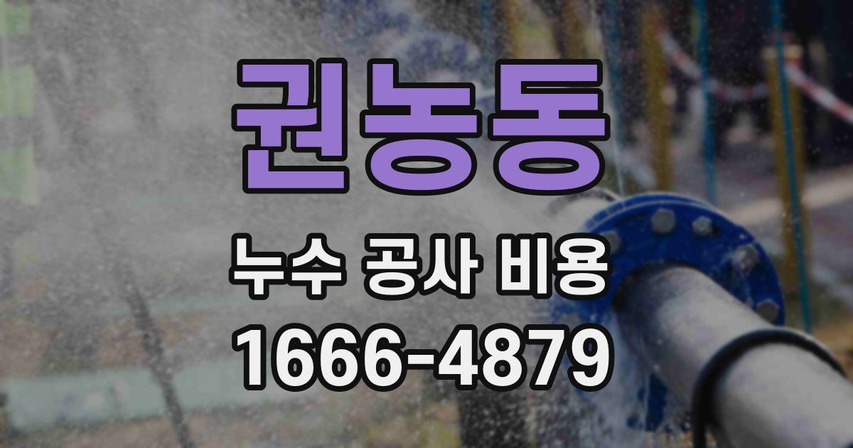 권농동 누수 공사 비용