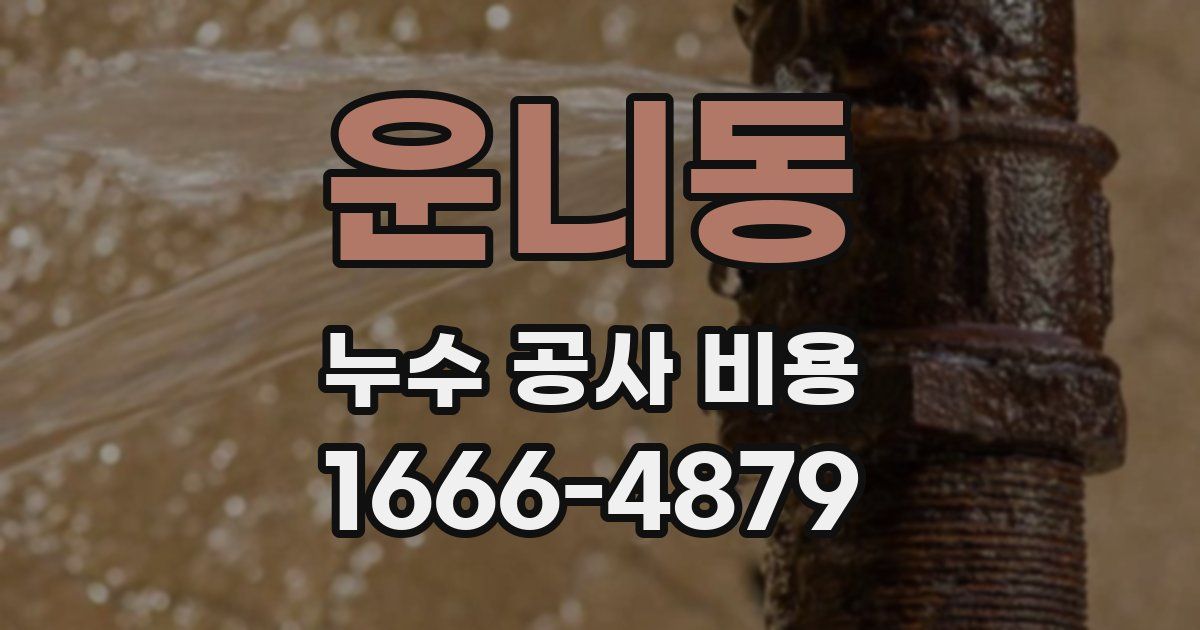 운니동 누수 공사 비용