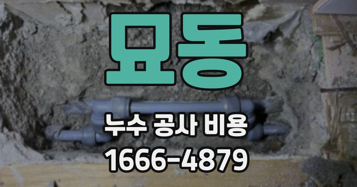 묘동 누수 공사 비용