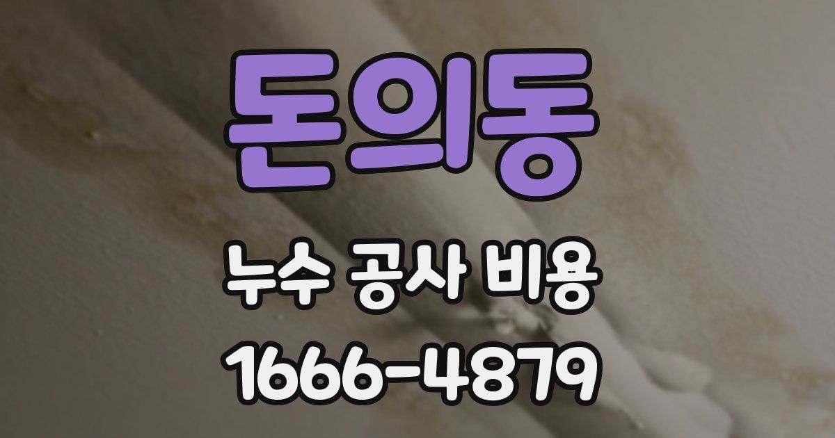 돈의동 누수 공사 비용