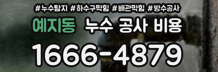 예지동 누수 공사 비용
