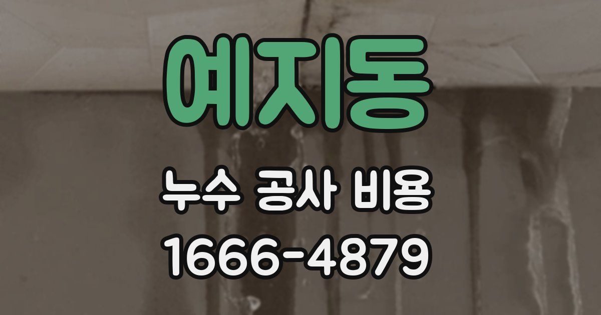 예지동 누수 공사 비용