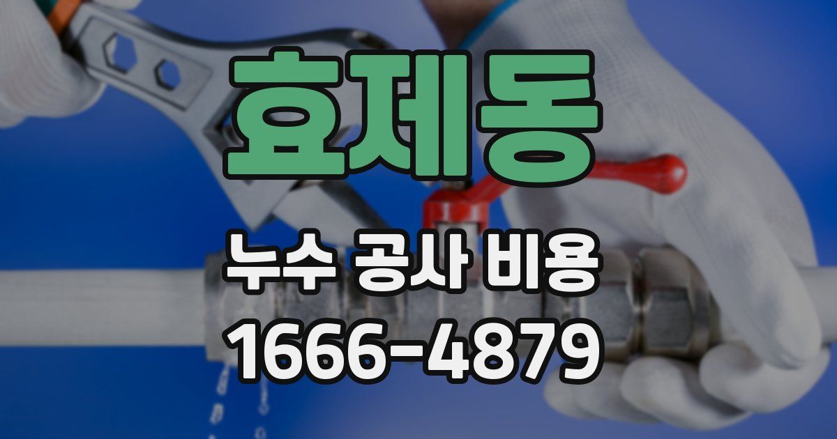 효제동 누수 공사 비용