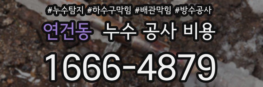 연건동 누수 공사 비용