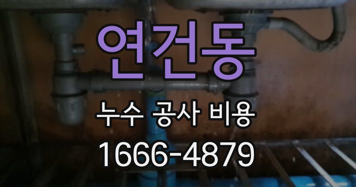 연건동 누수 공사 비용