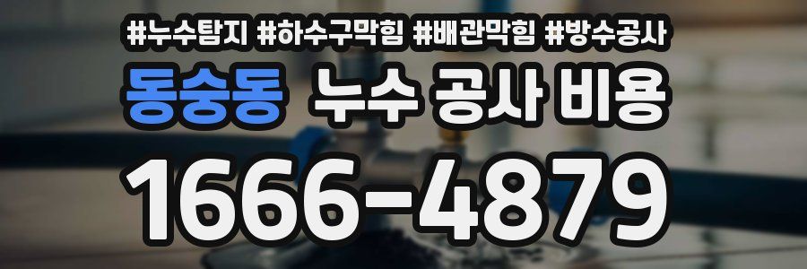 동숭동 누수 공사 비용