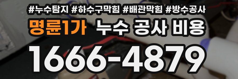명륜1가 누수 공사 비용