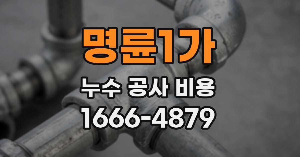 명륜1가 누수 공사 비용