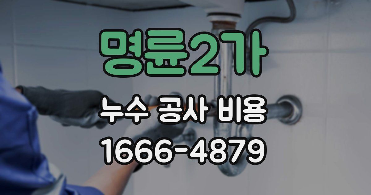 명륜2가 누수 공사 비용