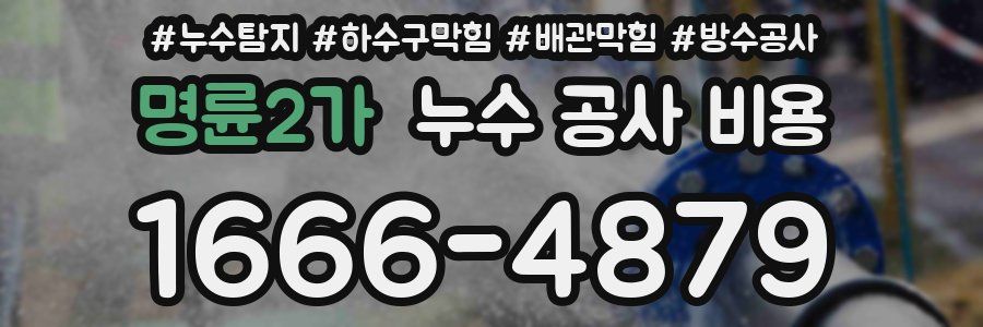 명륜2가 누수 공사 비용