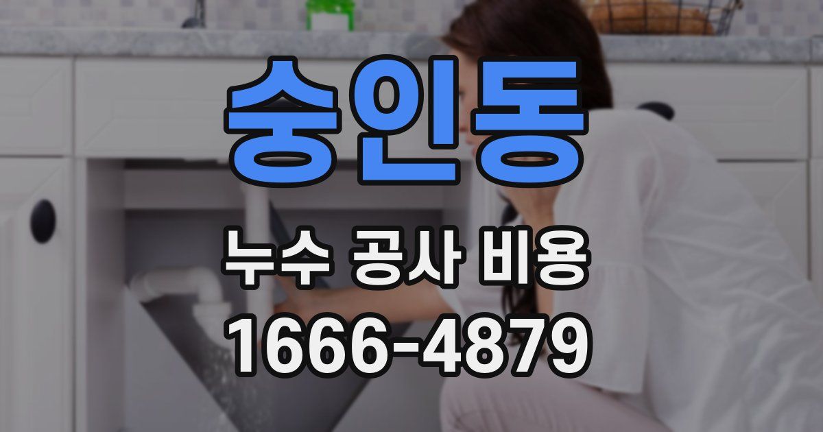 숭인동 누수 공사 비용