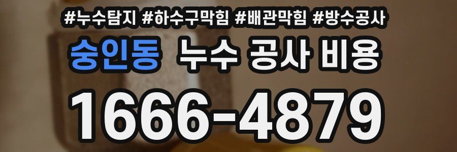 숭인동 누수 공사 비용