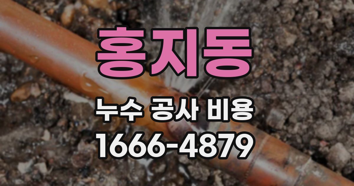 홍지동 누수 공사 비용