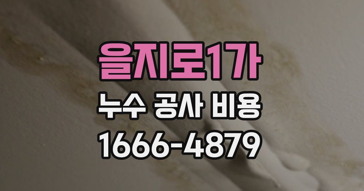 을지로1가 누수 공사 비용