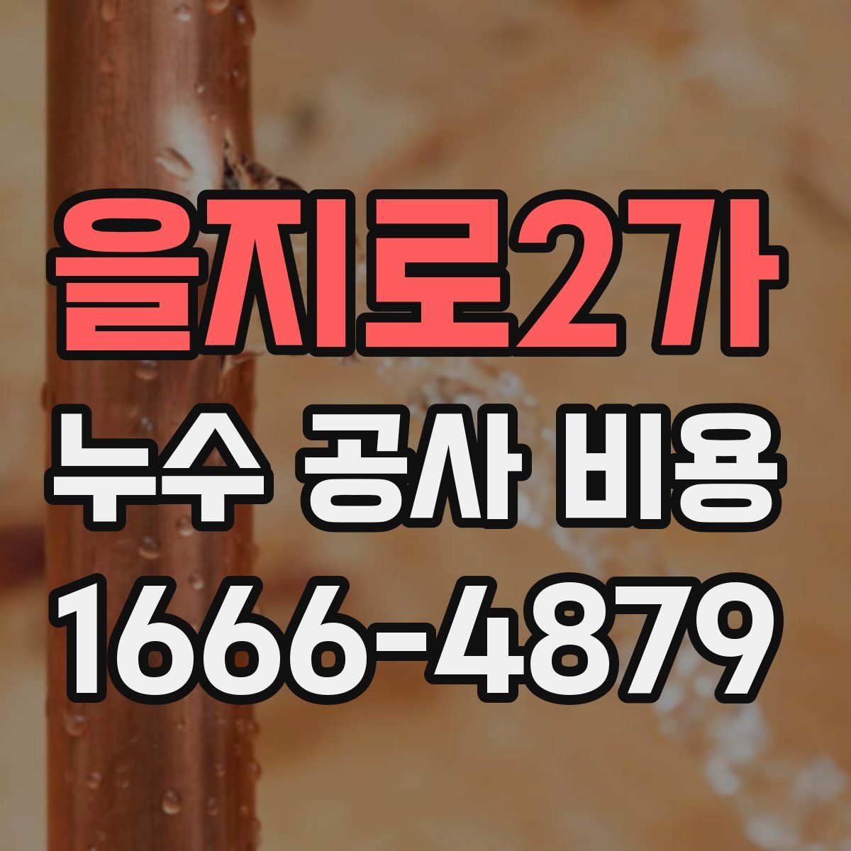 을지로2가 누수 공사 비용