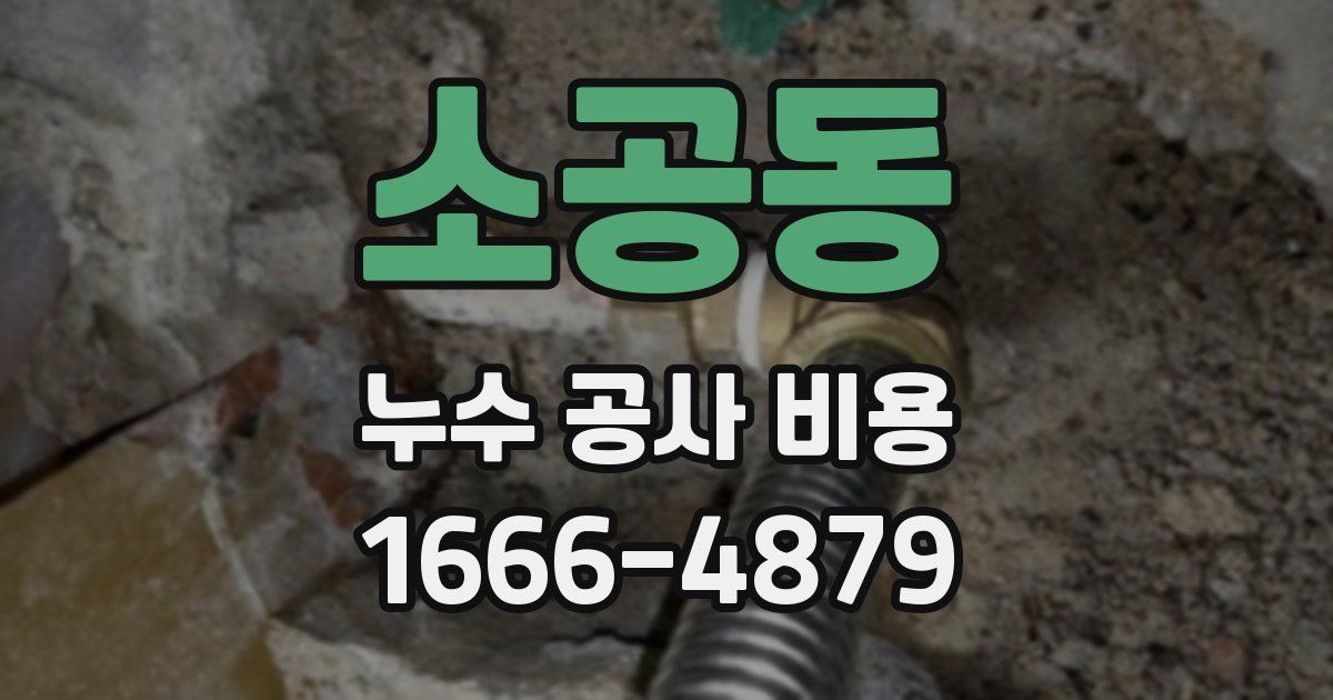 소공동 누수 공사 비용