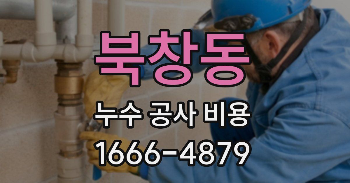 북창동 누수 공사 비용
