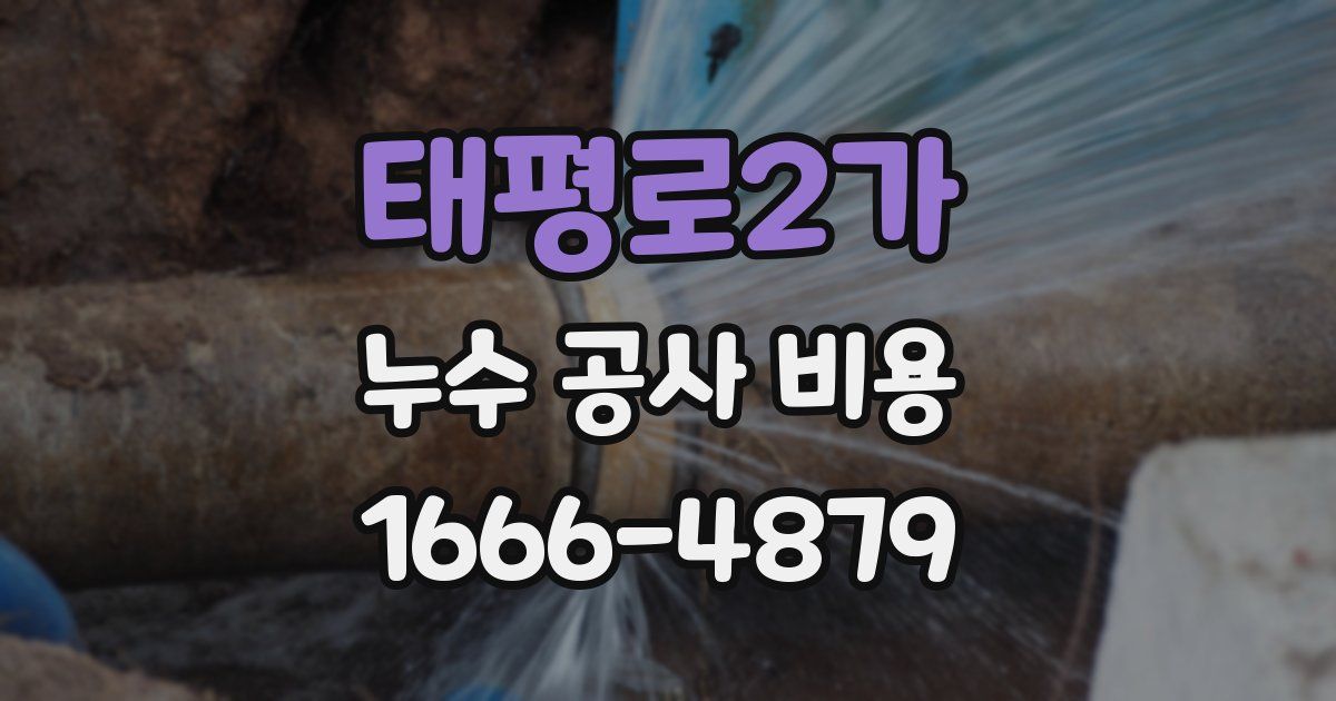태평로2가 누수 공사 비용