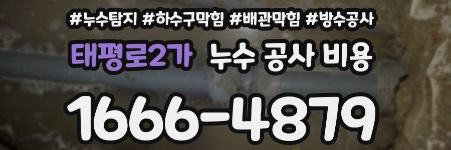 태평로2가 누수 공사 비용